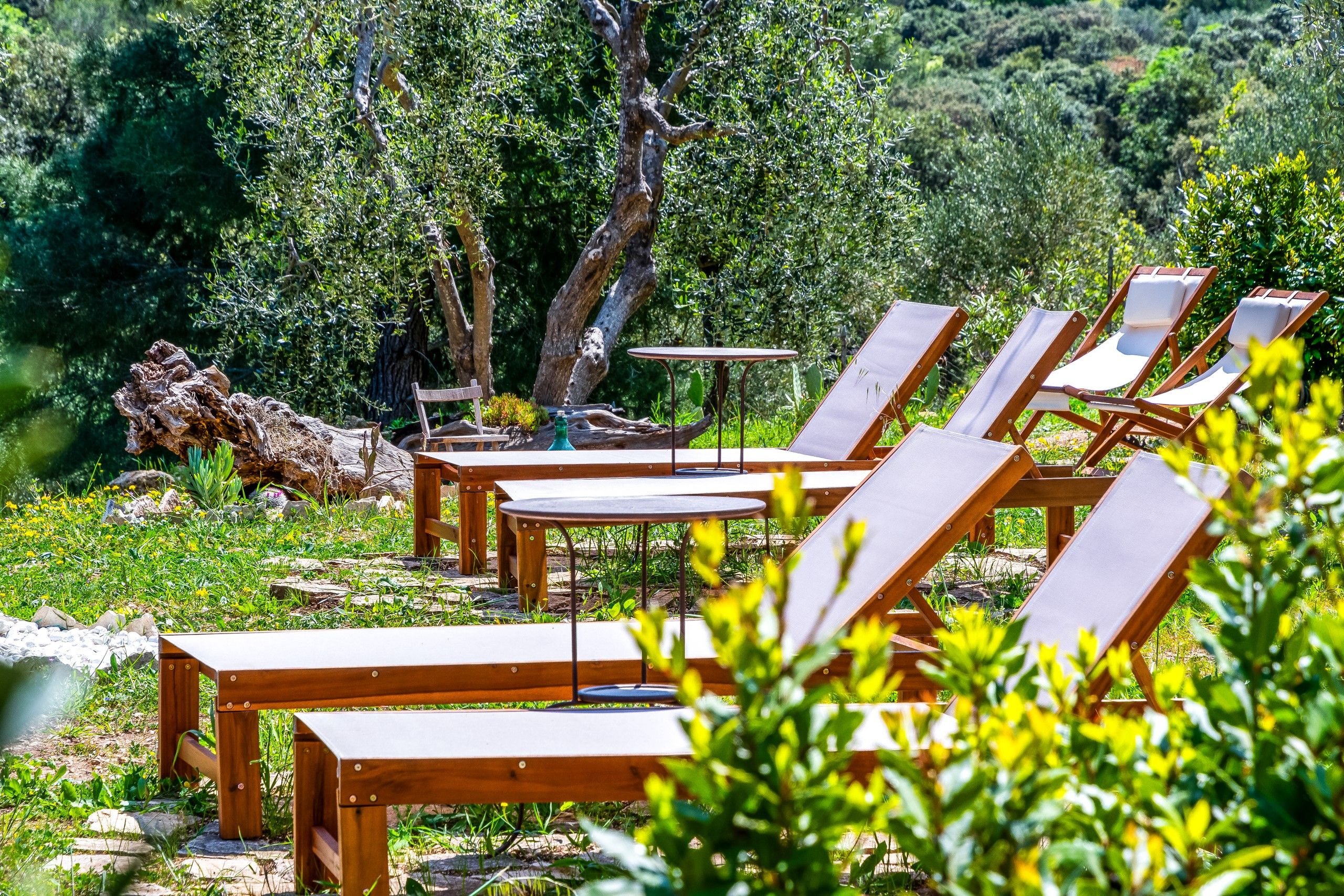 sedie sdraio esterno del B&B Bed and Breakfast Shanti Home Restaurant a due passi dal mare a Vieste immerso nella natura nel Gargano in Puglia